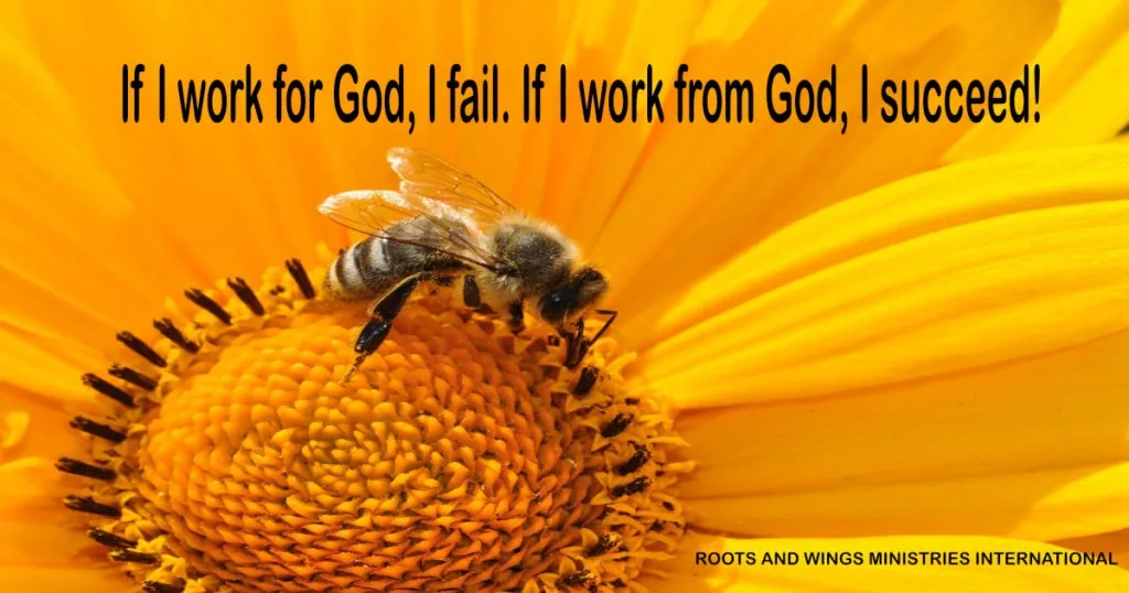 Busy As Bee