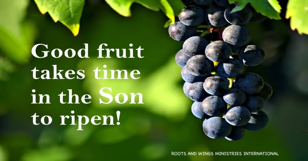 Good Fruit Takes Time