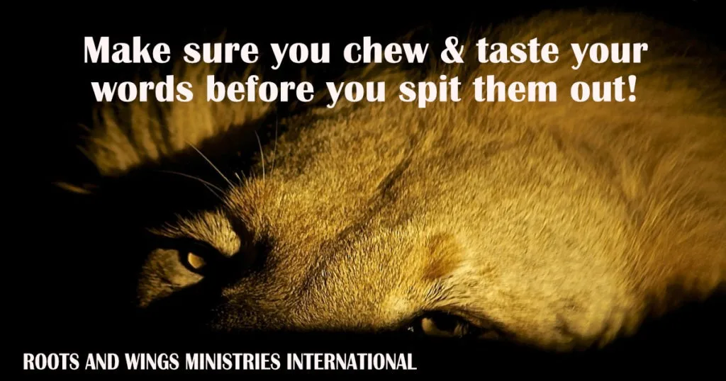 Chew & Taste Your Words