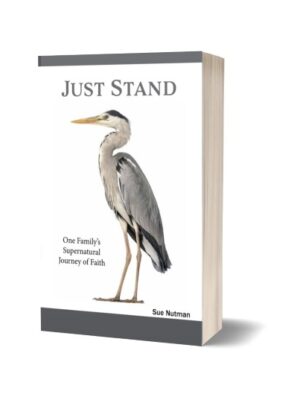Book cover for "Just Stand" with bird on front and white background