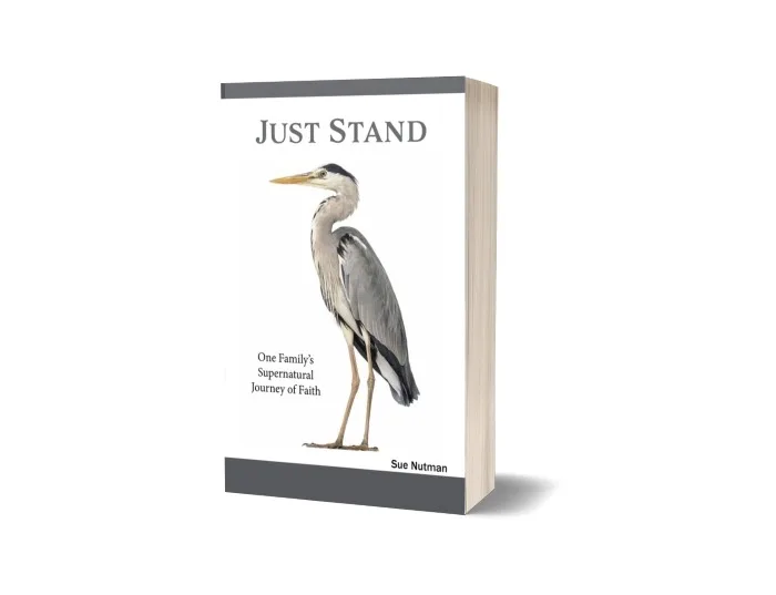 Just Stand Cover New Resized Book cover for "Just Stand" with bird on front and white background