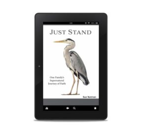 ebook cover for "Just Stand" with bird on front and white background