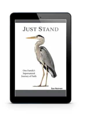 eBook cover for "Just Stand" on black tablet with white background