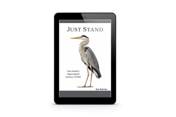 eBook cover for "Just Stand" on black tablet with white background