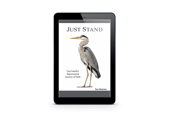 eBook cover for "Just Stand" on black tablet with white background