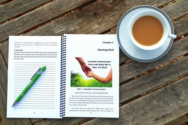 3d book cover for Gods Airwaves book on prophecy